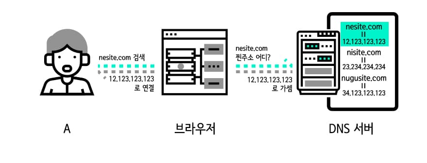 DNS 서버