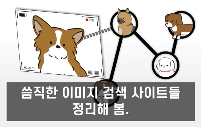 유사한 이미지 검색 사이트